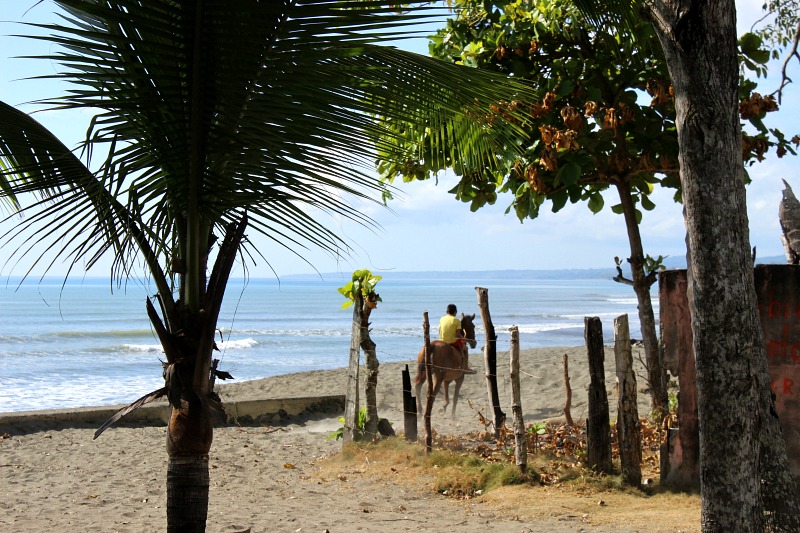 Beautiful Place To Build Your Dream Beach Home