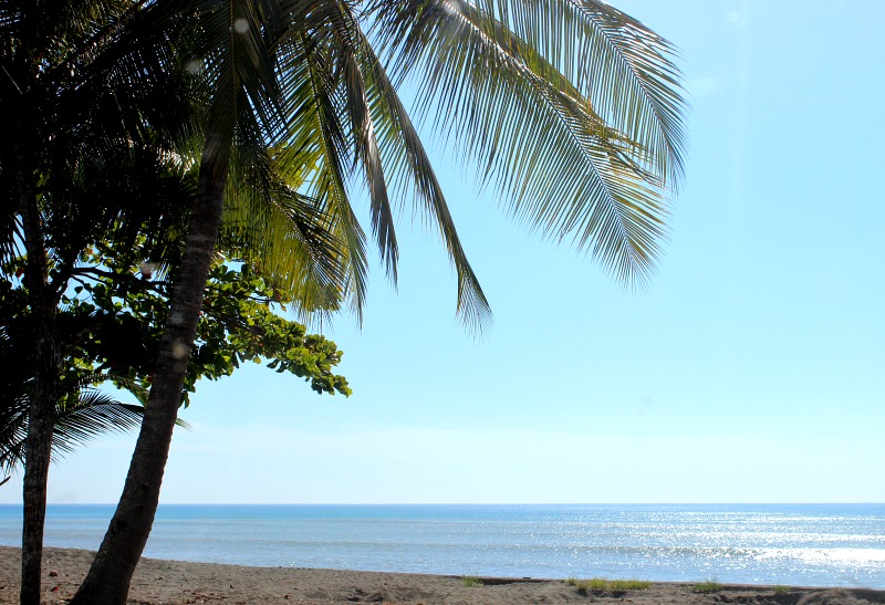 Beautiful Place To Build Your Dream Beach Home