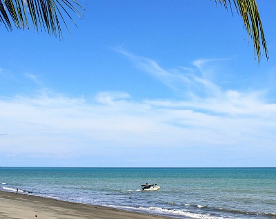 Start Your Dream Life Here