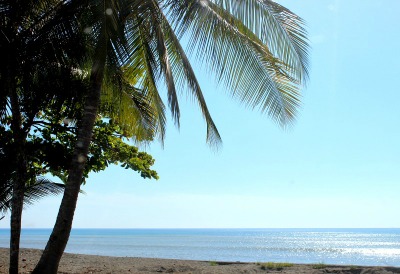 Beautiful Place To Build Your Dream Beach Home