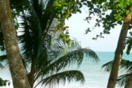 Under 100 Yards From Beach – Deal on House To Remodel