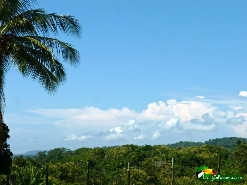 Ocean View Property In Quiet Las Palmas Neighborhood