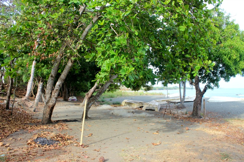 Four Beautiful Beach Properties