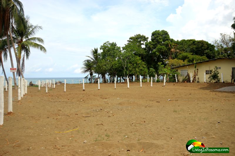 Affordable Beach Property in Puerto Armuelles Panama
