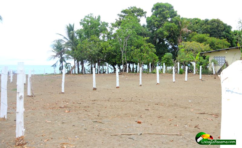 Affordable Beach Property in Puerto Armuelles Panama