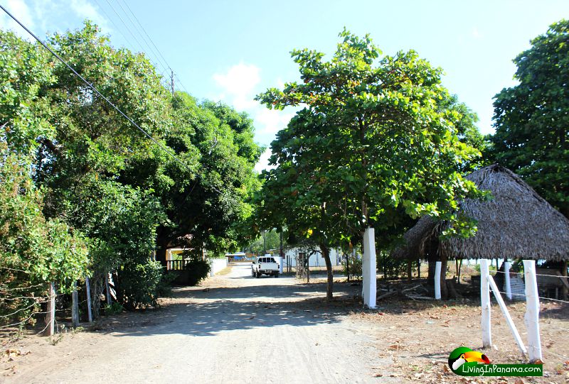 Beautiful Place To Build Your Dream Beach Home