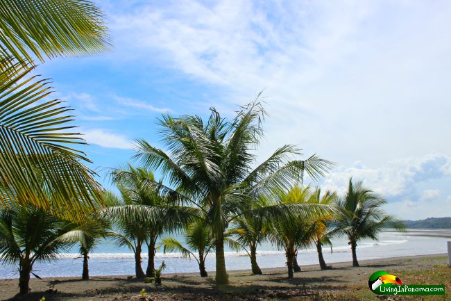 Beach Front House For Sale – Puerto Armuelles, Panama