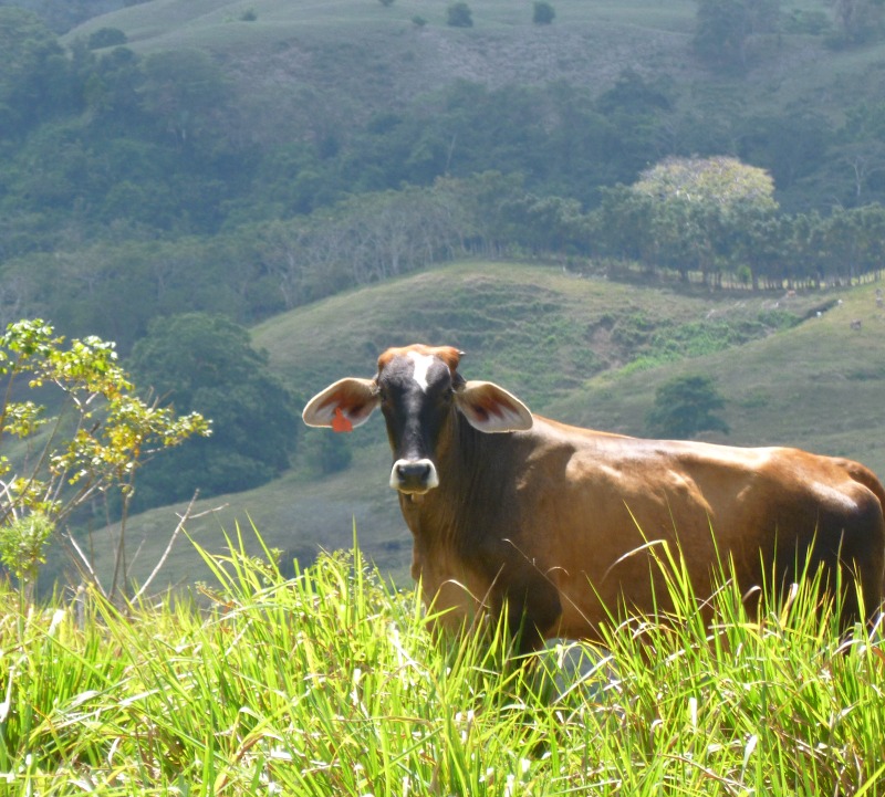 Farm Land with Fabulous Views