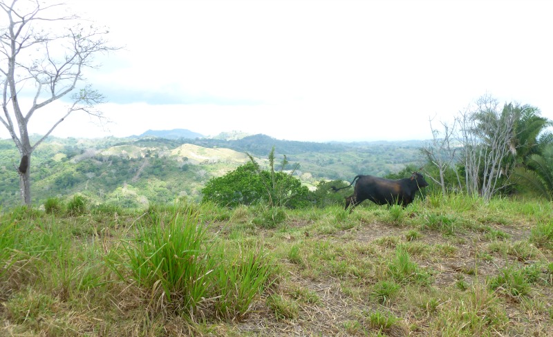 Farm Land with Fabulous Views
