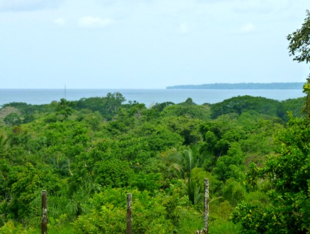 Land for sale in Altos San Vicente, Puerto Armuelles