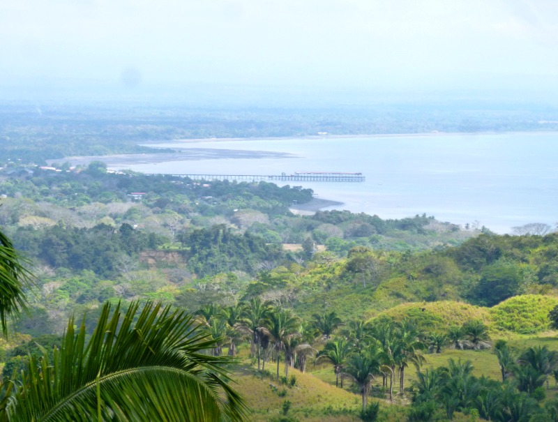 Farm Land with Fabulous Views