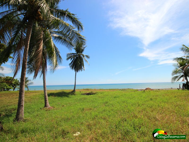 Beachfront land with palms and ocean view in Puerto Armuelles